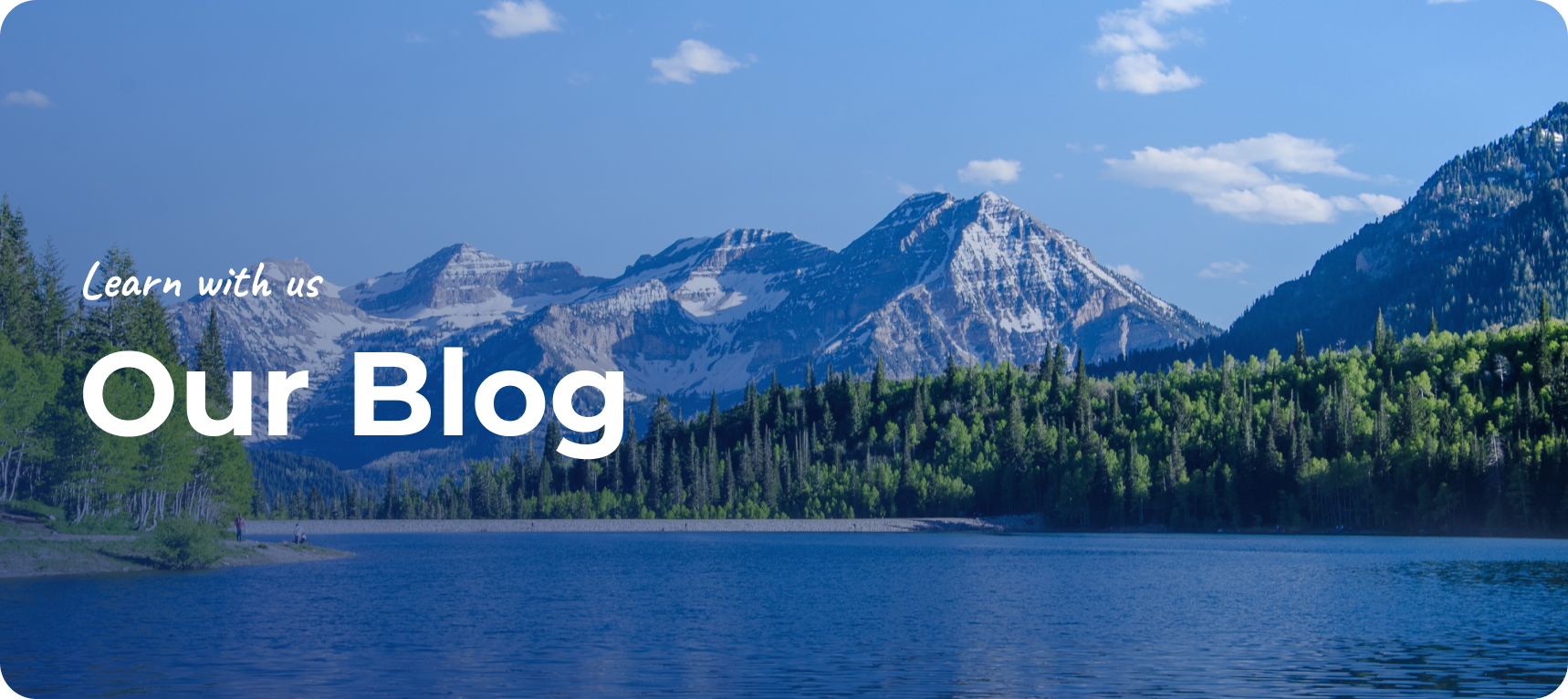 Learn with us. Our Blog.