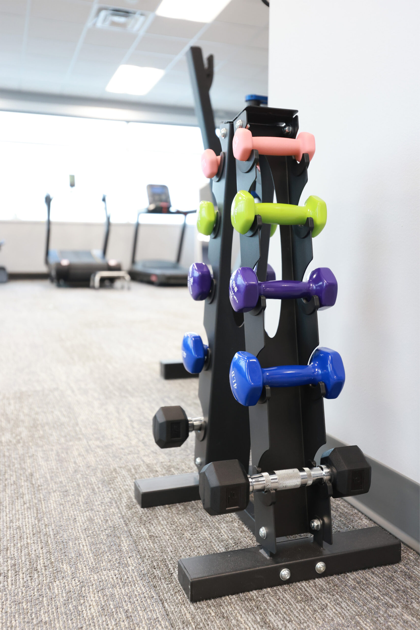 A rack of colorful dumbbells with pink, green, purple, and blue weights in a bright gym. Treadmills are visible in the background.